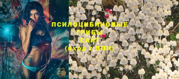 мяу мяу мука Алзамай