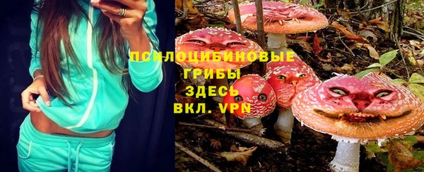 мяу мяу мука Алзамай