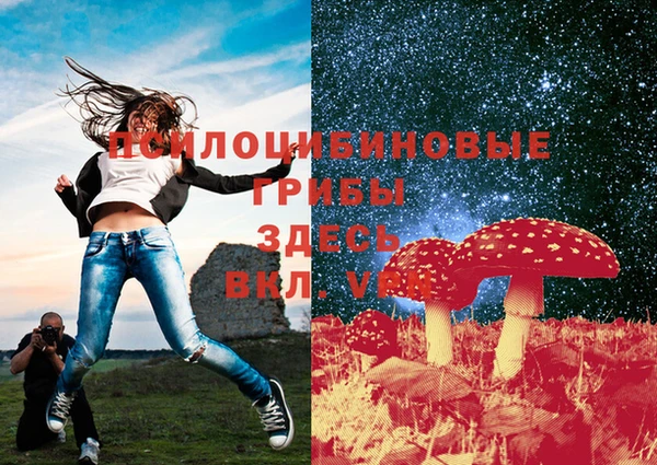 каннабис Алексеевка